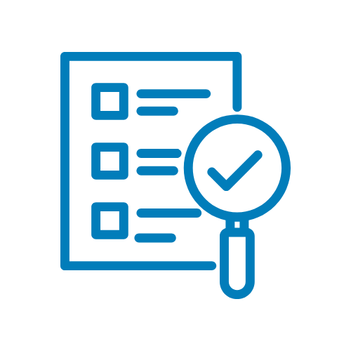 inspectionsicon